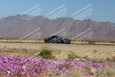 media/Jan-29-2023-PCA San Diego (Sun) [[aa0301ccc2]]/Yellow Group/Session 1 (Turn 15 Bloom)/